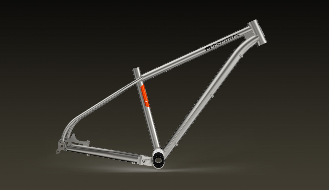 ももティン　1028 AE／オールマウンテン＆エンデューロ／グラビティハードテール | 一生